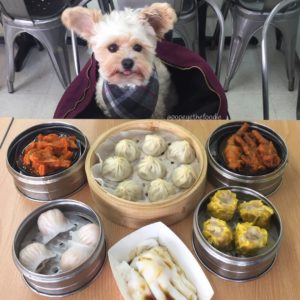 The_Dim_Sum_Co Collab_with_Popeyethefoodie